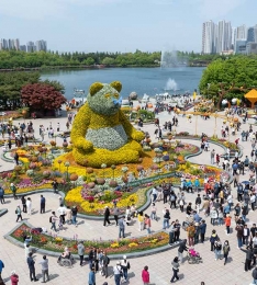2025籹ɹڶȸ 11 , 17ϰ  .