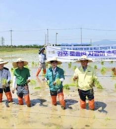 김포시, 김포토종품종 ‘자광미’ 개발‧육성‧브랜딩 위한 원팀김포 출격.