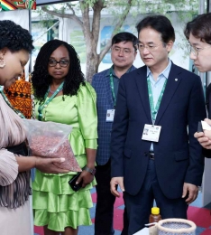 ̵ȯ , 縣ȸ UNDPADB ڿ յ      