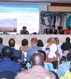 ׽, ù ѳ   縣 ̵ȯ , 뼭   .