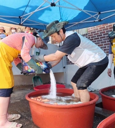  ȫ 赿,  弭 .