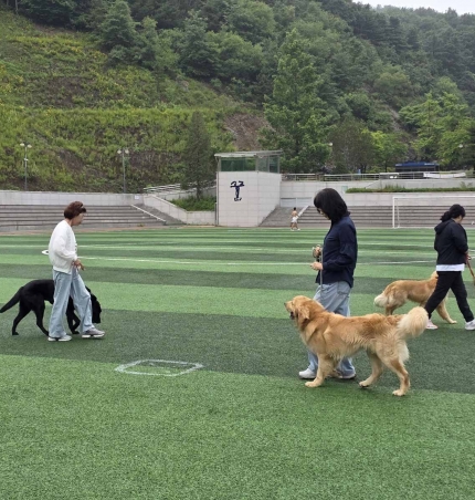 ݷ 600 ô롦ֽ, N⁺Ȱб    1⡯ .